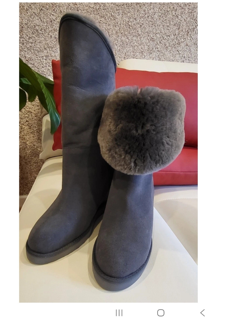 Australia Luxe Collective Women's Sexy Cosy Tall Wedge Shearling Boots US 8 NEW